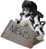 Newsy