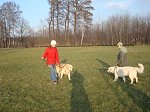 darmowy hosting obrazków