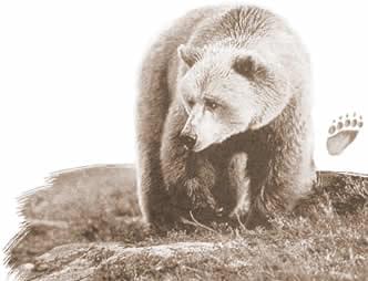 Obrazek