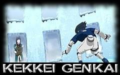 Kekkei Genkai moliwe do zdobycia w grze.
							</div>
						</div>
					</td>
					<td class=