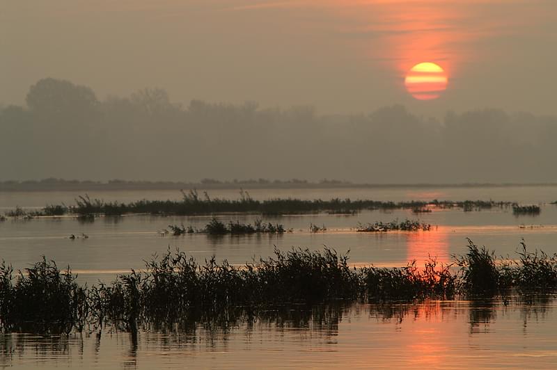 Dołączona grafika