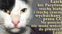 Obrazek