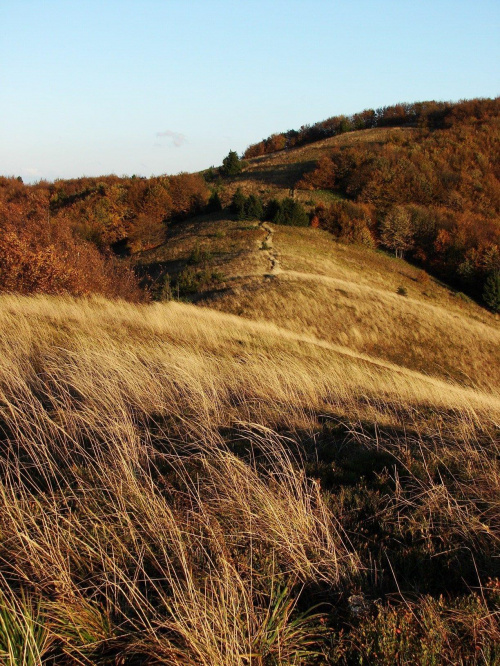 #Bieszczady #góry #jesień