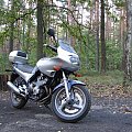 Yamaha XJ600 Diversion