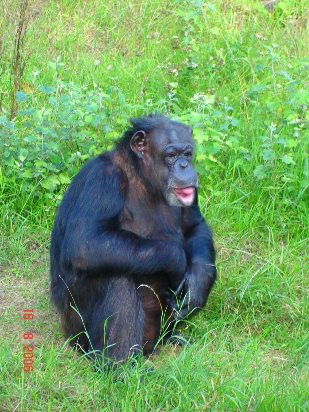 wrocławskie zoo