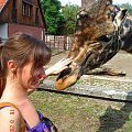 zoo #Wrocław