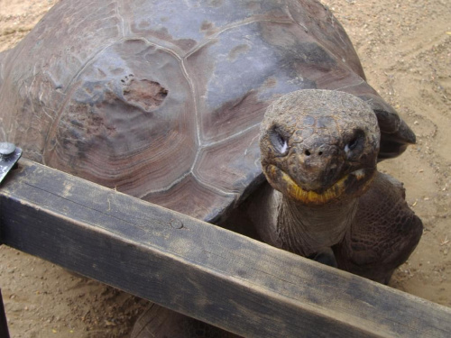 Zwierzęta i widoki Reptile Park