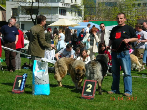 Częstochowa 2007