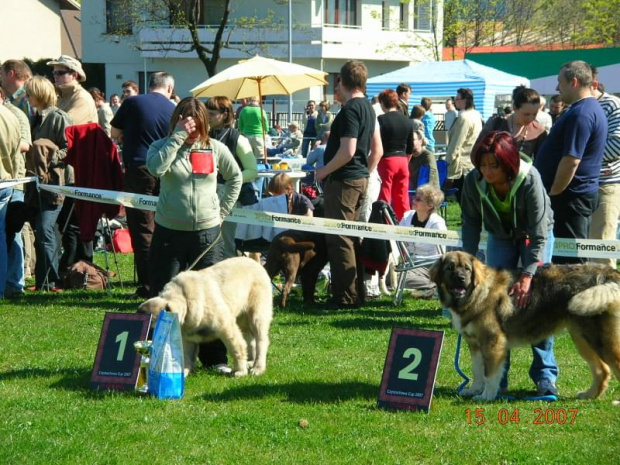 Częstochowa 2007