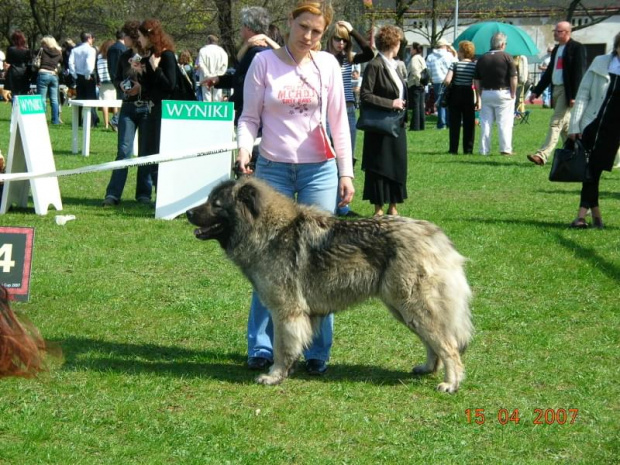 Częstochowa 2007