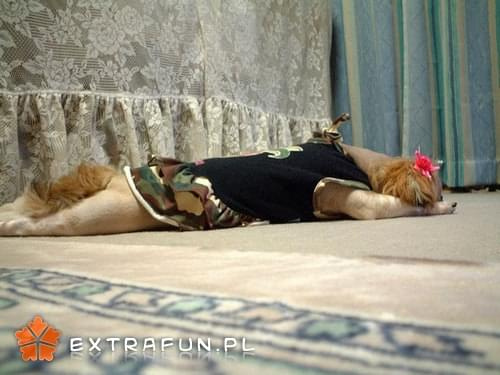 extrafun