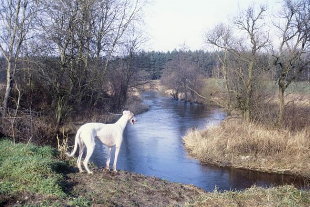 Rajkowy 2007 Foto A. Ćwikliński