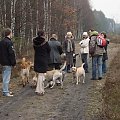 13 stycznia 2008