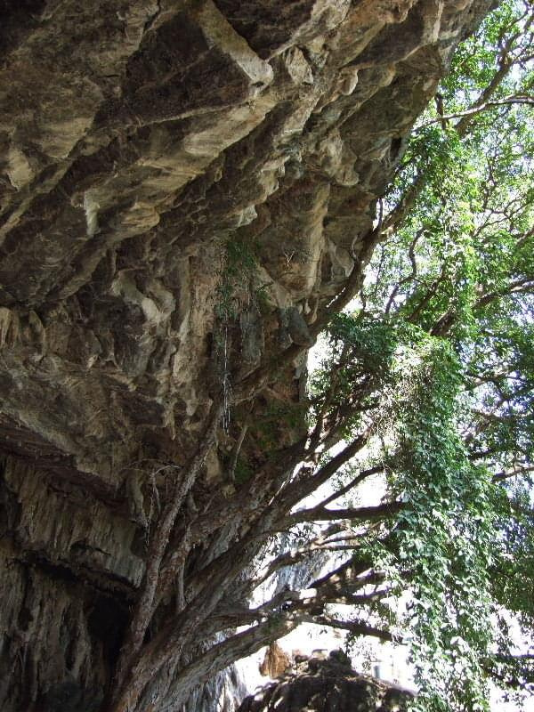 Grutas de Cacahuamilpa (Guerrero, Mexico) #GrutasDeCacahuamilpa