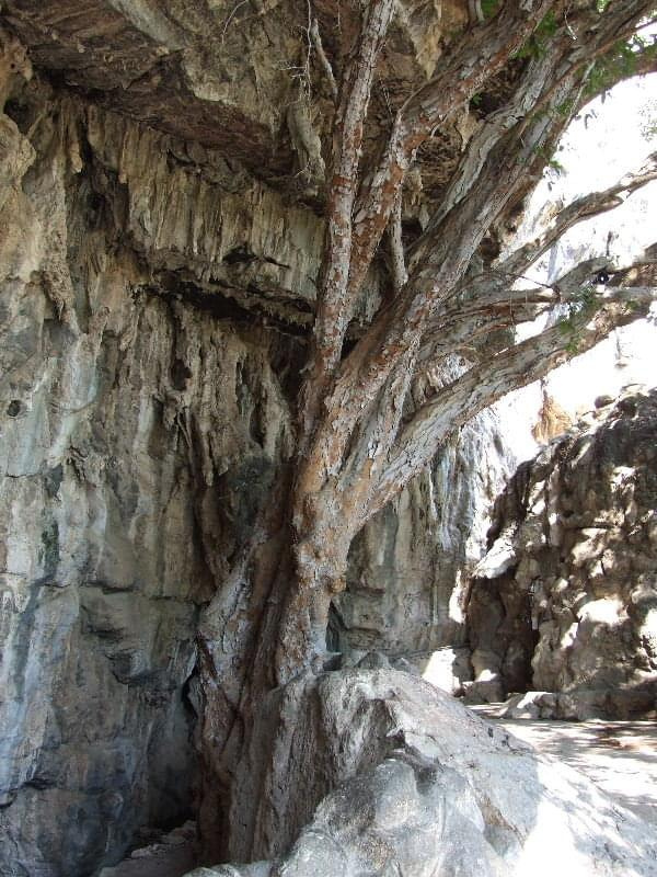 Grutas de Cacahuamilpa (Guerrero, Mexico) #GrutasDeCacahuamilpa