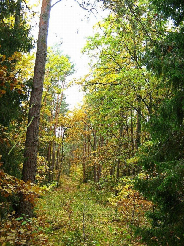 październik 2007