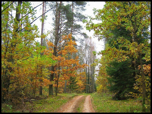 październik 2007