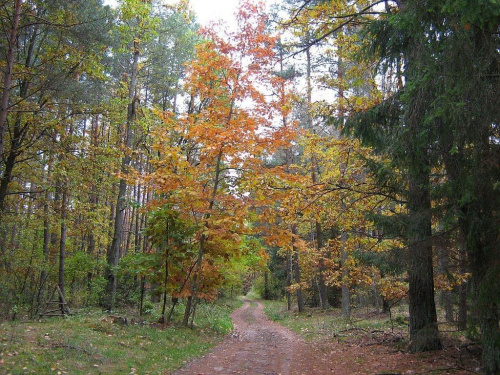 październik 2007