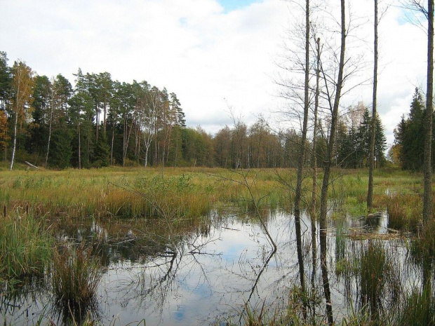 październik 2007