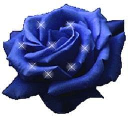 #BlueRose