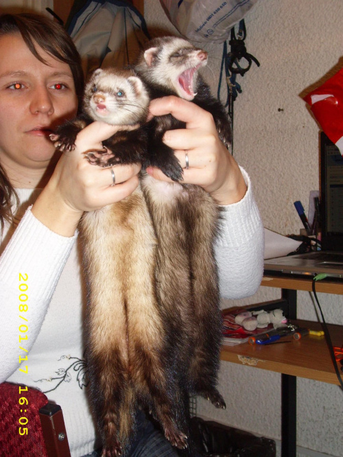 Panienki :)