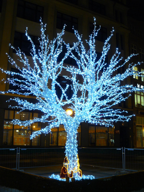 Drzewko z lampek - ul. Oławska #drzewo #choinka #wrocław #oławska #święta #lampki #diody #neony