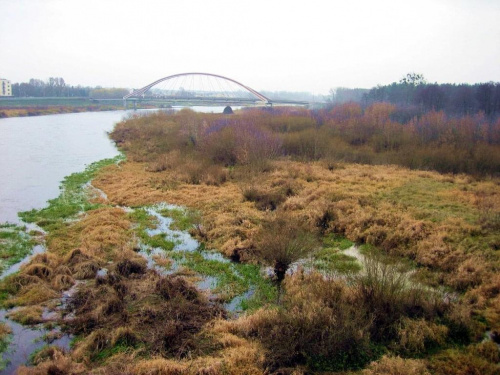 rz.Narew