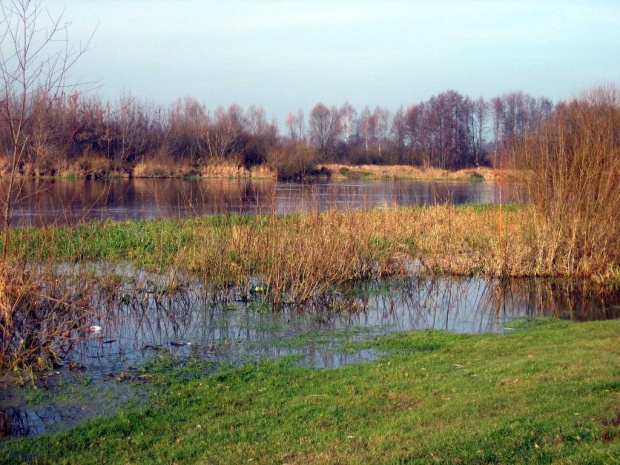 rz.Narew