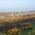 rz.Narew