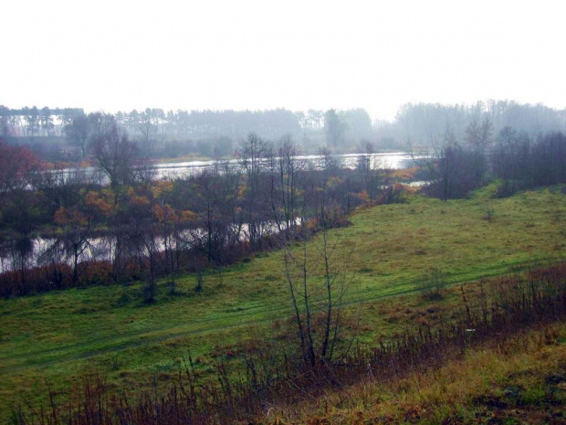 rz.Narew