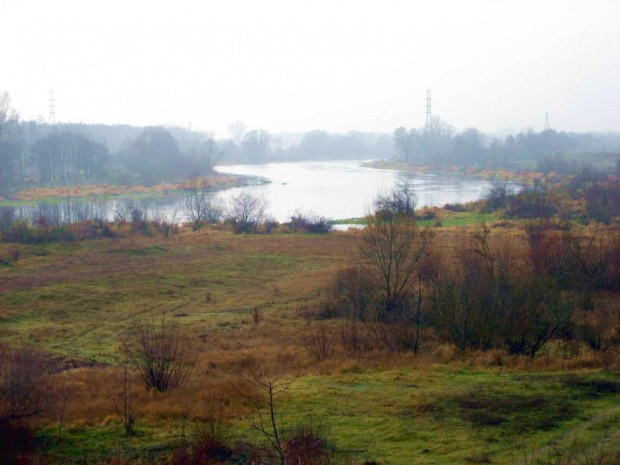 rz.Narew