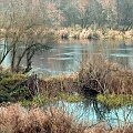 rz,Narew