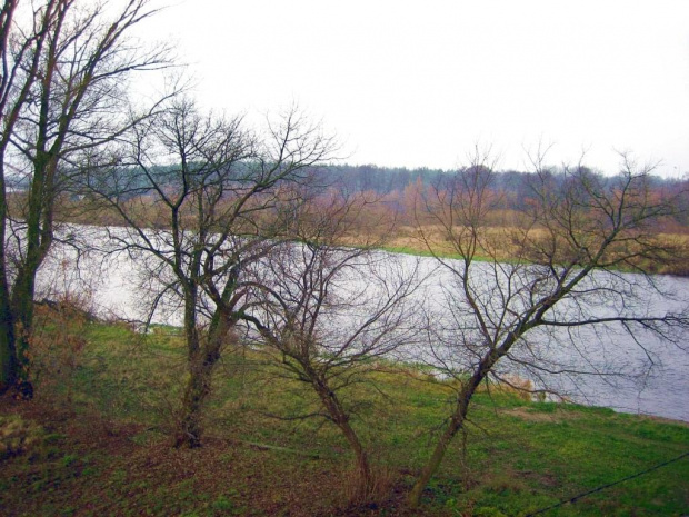 rz.Narew