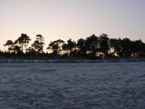 #Władysławowo #drzewo #zima #plaża #widoki