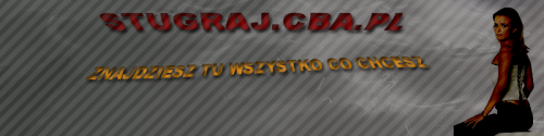 baner strugaj2