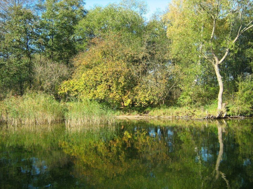 październik 2007