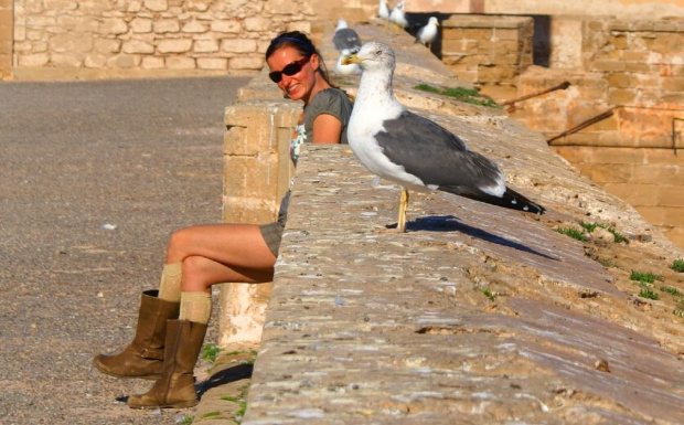 Essaouira - Skala du Port