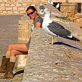 Essaouira - Skala du Port