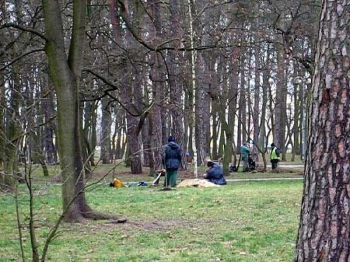 Porządkowanie parku przed nadejciem zimy