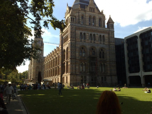 national history museum