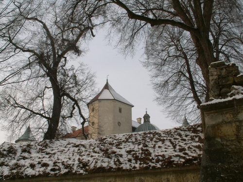 Zamek Nowy Wiśnicz