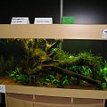 '' Naturaquarium Live erleben ''
Eduard Keller