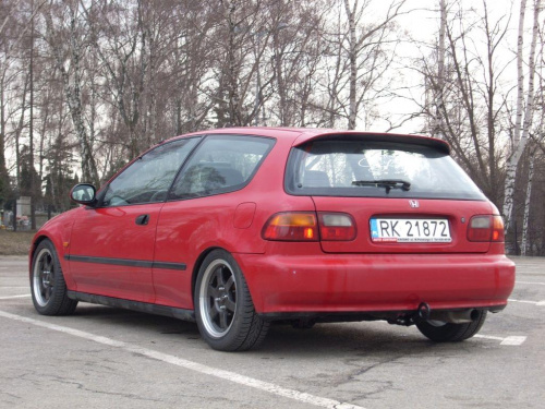 hak i rozne inne zdjecia