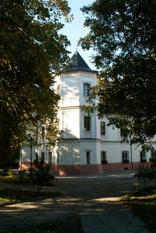 Krzyżanowice pałac