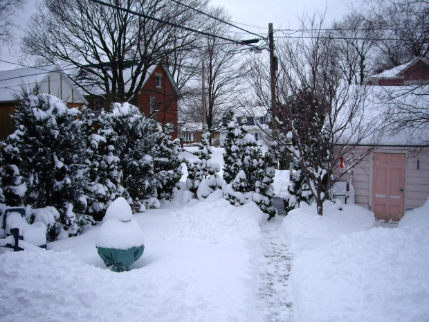 zima 7 lutego 2008 #zima #Toronto #Canada