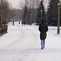 Zima w Parku Chorzowskim #zima #spacer #snieg #park #ParkChorzowski