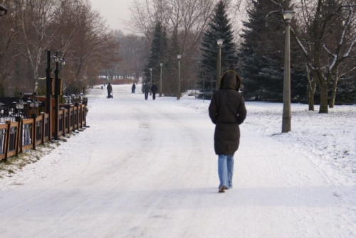 Zima w Parku Chorzowskim #zima #spacer #snieg #park #ParkChorzowski