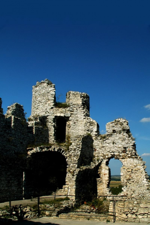 Zamek Ogrodzieniec Podzamcze