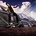 EA Skate Tapety Wallpapers