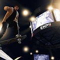 EA Skate Screens